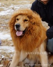 宠物假发带耳朵 宠物狮子头套 狗狗狮子围脖 宠物用品 狗狗假发