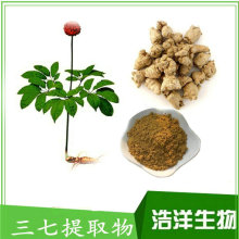 三七提取物 三七皂甙10% 三七根总皂苷80% 85% HPLC 浩洋生物