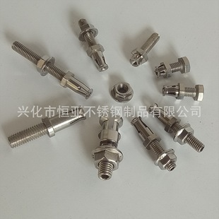 ���Mʽ��˨ 304 316���P䓒����˨ �S�ҹ����c֧ʽ