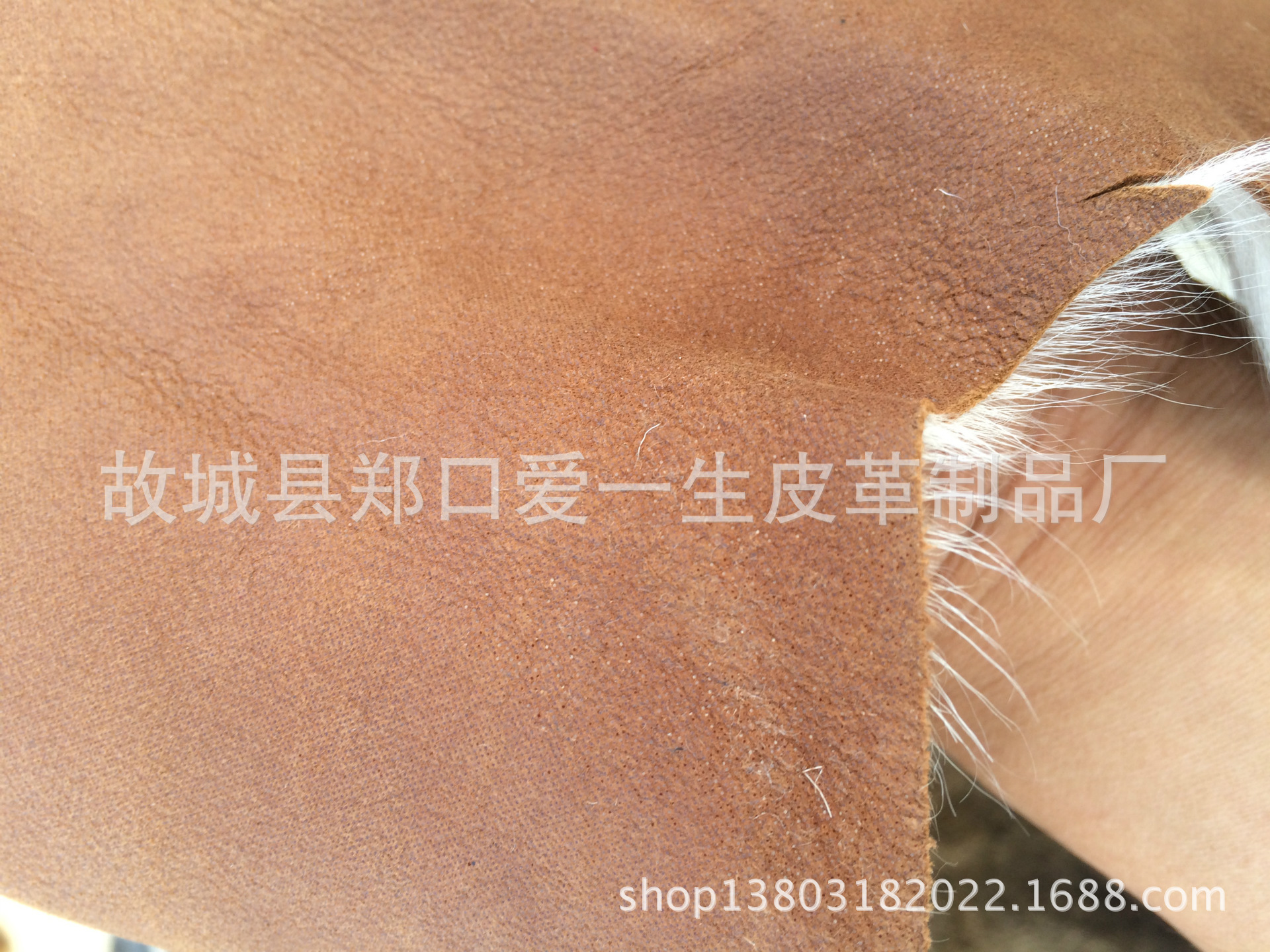 IMG_6217[1]