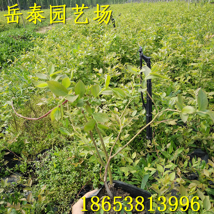img20160422100811