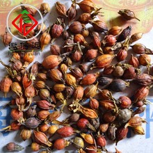 ���] �S�һ����h������ș�Ĳ�Ѭ�����؛ Ʒ�|���C ����ɽ�d��