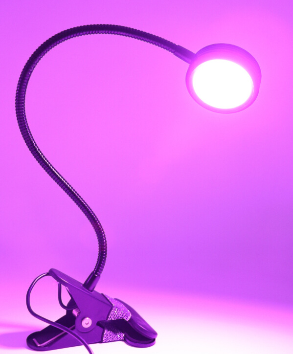 [L4M~1@5Y7T{(N88D~LL3TL