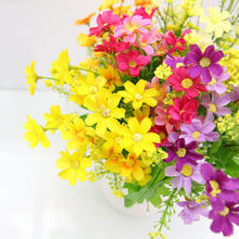 ���m�� ���滨�ٻ��b� �����m ��֦�������| �Ƶ��̈���zӰ