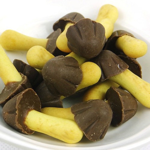 South Korea's Orion Yellow Mushroom Cookies Chocolate Cookies 50g Imported Food Children's Snacks Small Mushroom Power