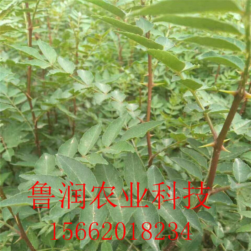 [微信图片_20170902194812]