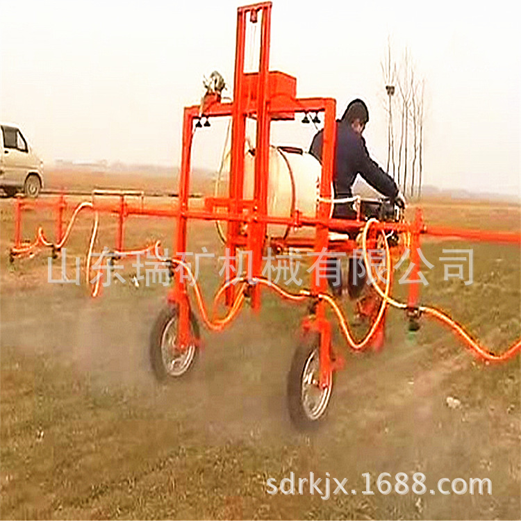 113075586065616846_����