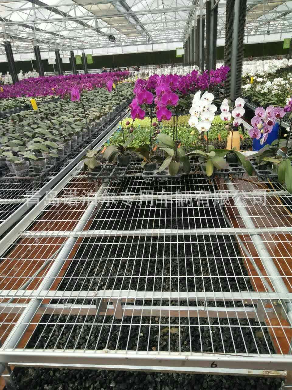 厂家直销可移动育苗床 焊接网材质温室大棚苗床 果蔬农场潮汐苗床