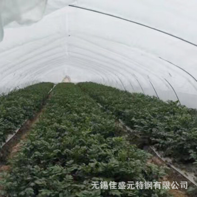 定做6*25一亩大棚镀锌管6*4.5简易骨架4分6*4.25春秋单体大棚管