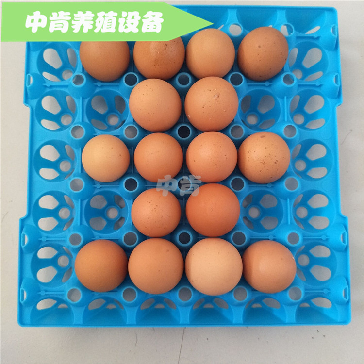 鸡用蛋托 鸡蛋蛋托 鸡蛋托 鸡用塑料蛋托 鸡蛋塑料蛋托