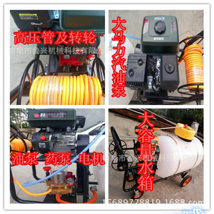 组图_副本_副本