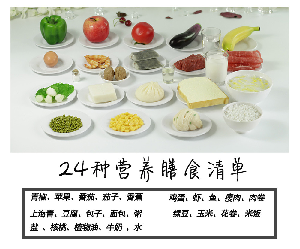 24种仿真膳食宝塔食物模型  蔬菜水果肉类平衡饮食90千卡食物份