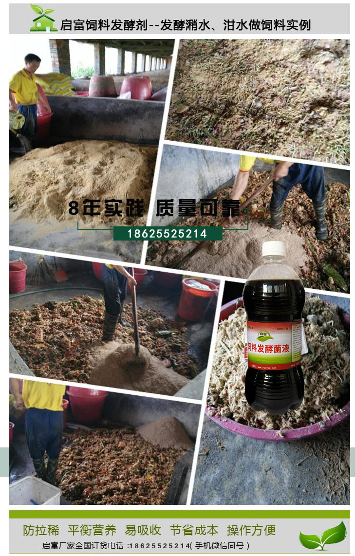 发酵潲水喂猪步骤