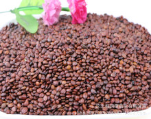 ���l�ᗗ�� �ᗗ��  ����ă�