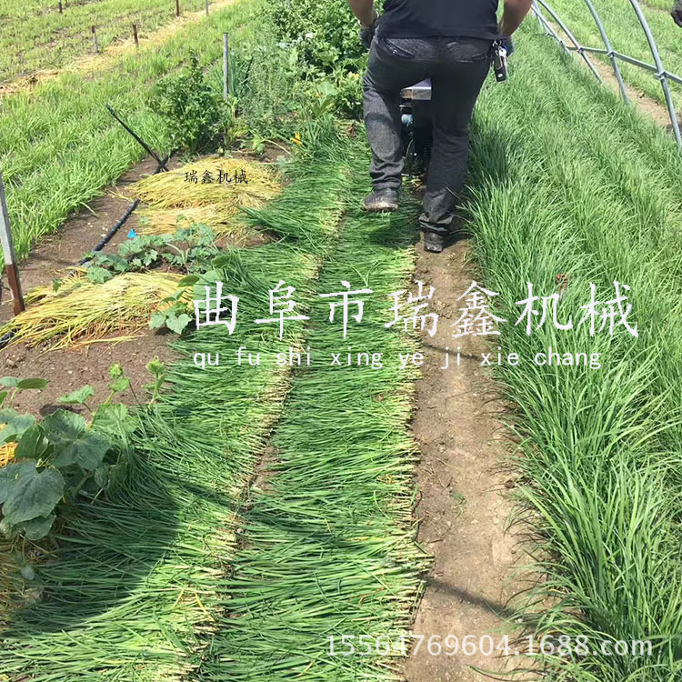 微信圖片_20170605150506