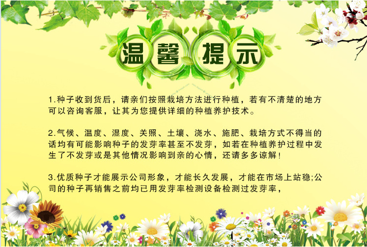 QQ截图20170522114023