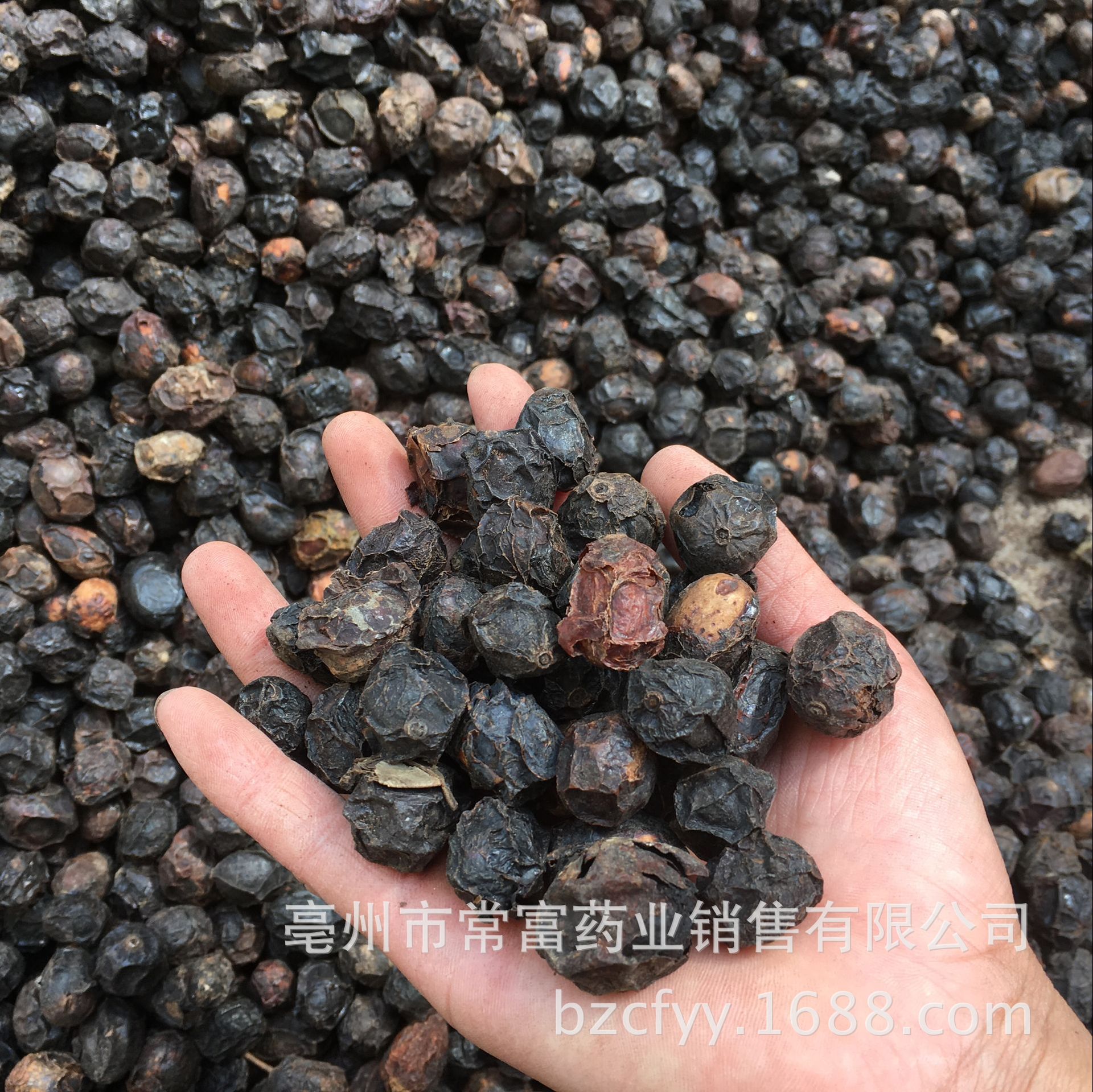 Guang Zao Dried Suan Zao Fruit 500g Traditional Chinese Herbal Ingredient for Cooking and Decoction in use