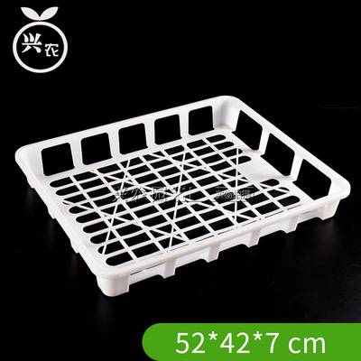 Tissue culture seedling tray Seedling container Tissue culture box High temperature and high pressure No deformation Tissue Culture Mobile tray