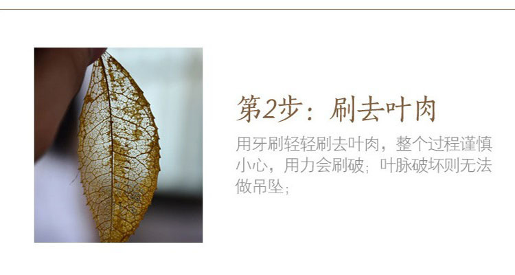 Natural Leaves Gold-Plated Long Necklace Personalized Simple Leaf Sweater Chain detail image 11