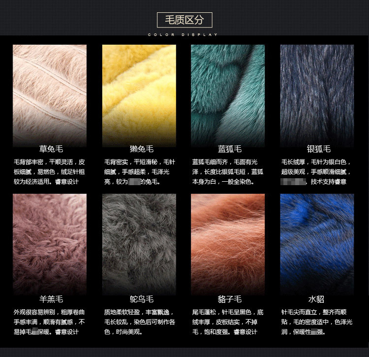 2639368083_402598636