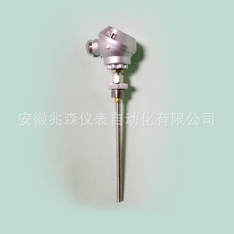 小型热电阻PT100热电阻温度计 双支铂热电阻WZP2-216精致型热电阻