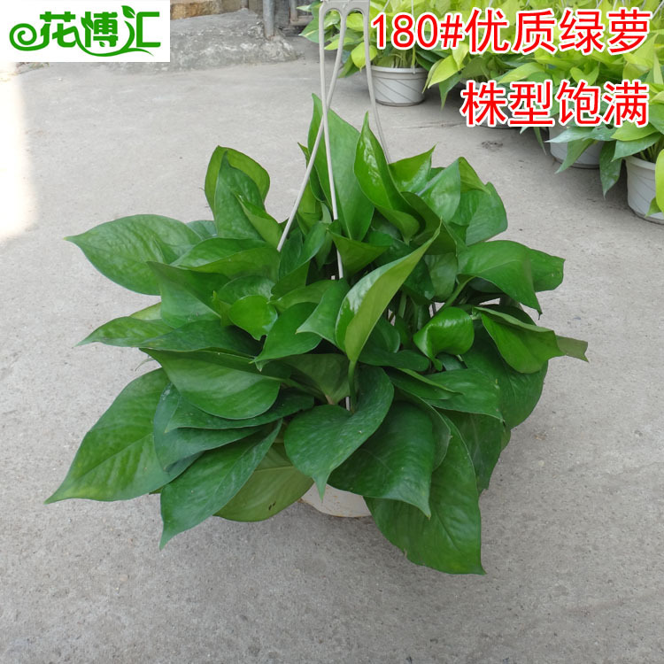 2231004596_843032287