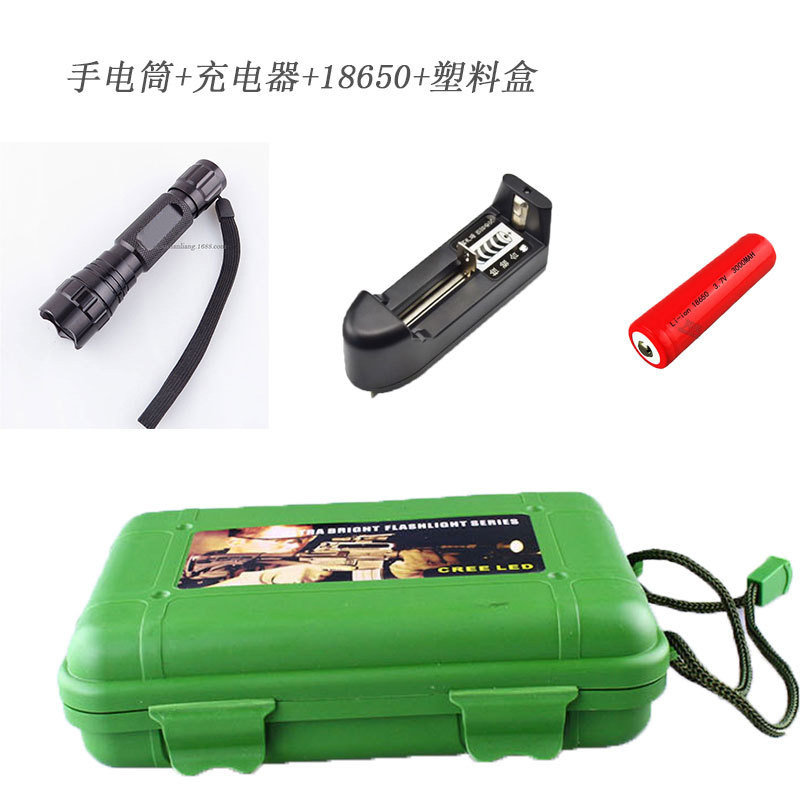 3390831647_604475428