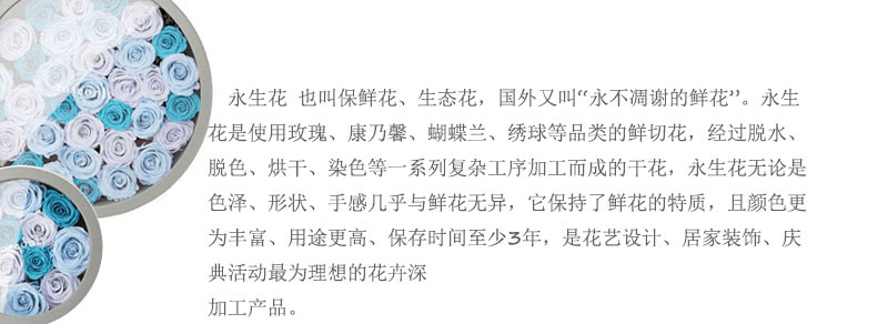 永生花说明1