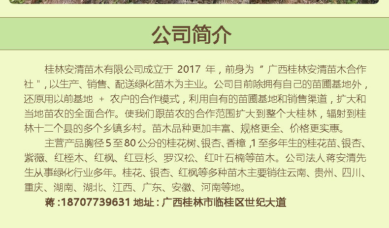 红枫_14