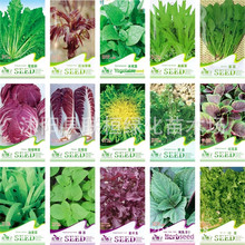 �ʴ��b�Y����Ĳ���ľ���˼t�{���㴻�����˿��Ľ�˺����K�ӷN��