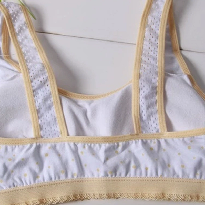 美丽婷 Cotton underwear for princess, teen girl bra for elementary school students, wholesale