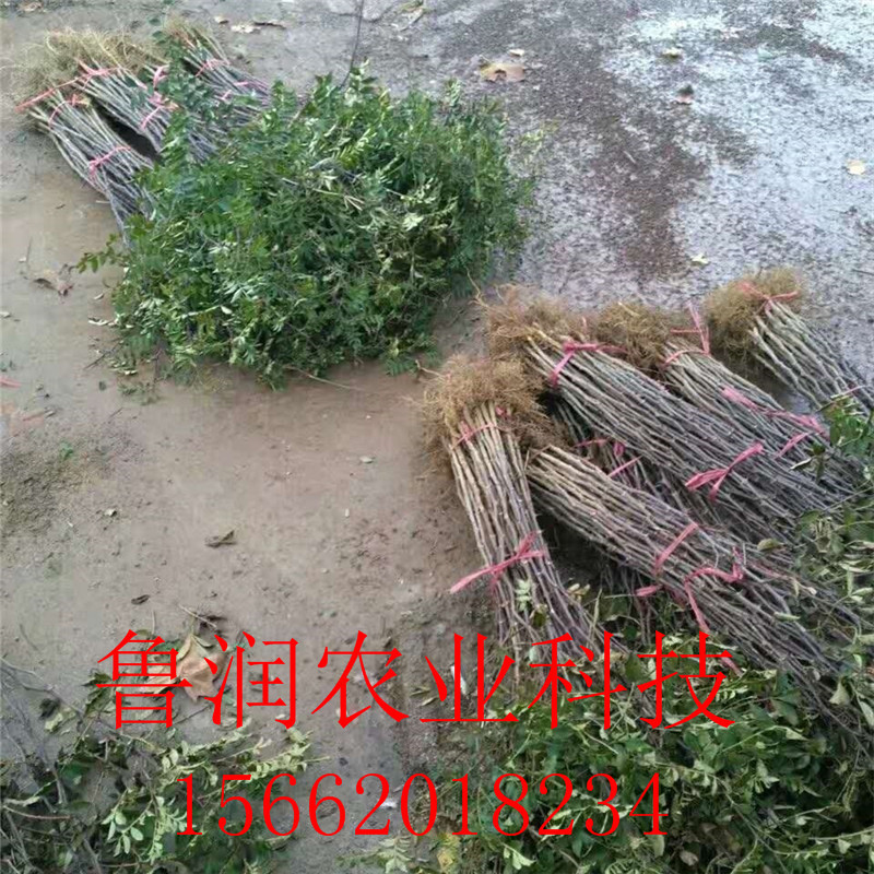 [微信图片_20170902194744]