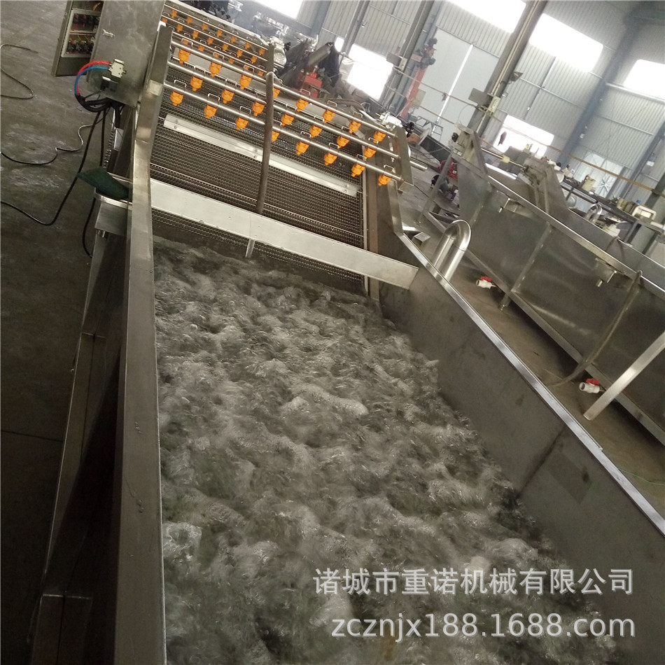 莲藕清洗机 山楂清洗机 毛辊去皮清洗机 厂家直销专业定制