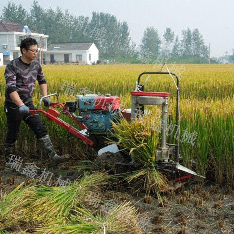 籼稻晚稻割晒机 生产销售芦苇割晒机 开封