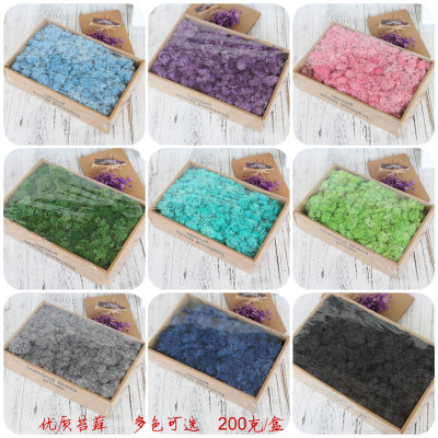 Immortal flower Gift box make Material Science Preserved Flowers Artificial Flower Eternal life moss and lichen Wall decoration