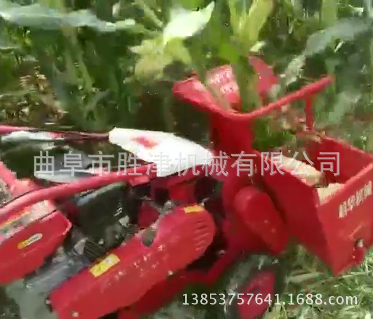 新型单行玉米收割机曲靖汽油玉米脱粒机
