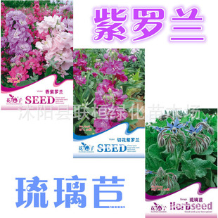 �ʴ����b�����_�m�л����_�m�����Ķ��������N���̨���Է��㻨��