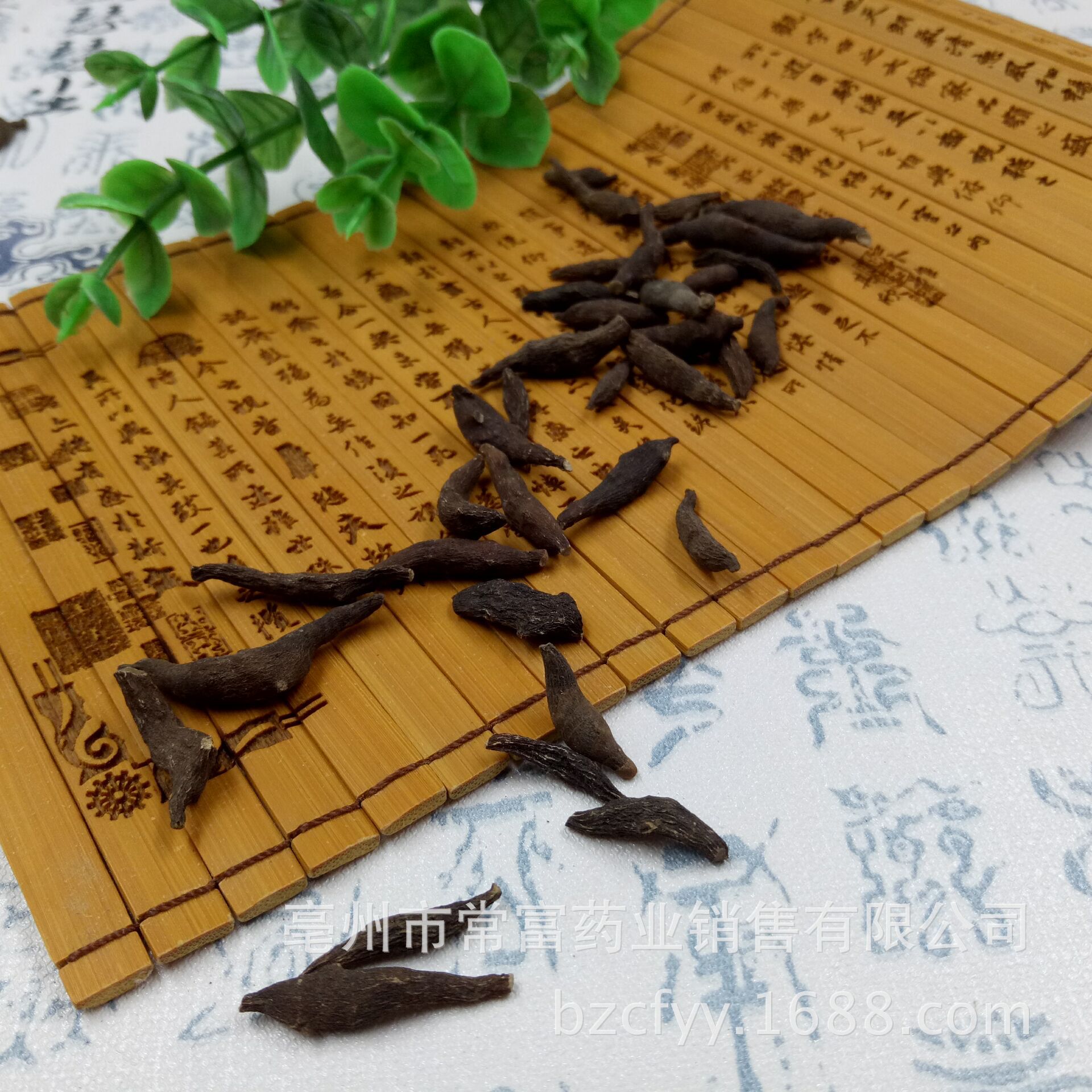 Liang Tou Jian Dried Herb 500g Traditional Chinese Botanical Zhu Jie Xiang Fu Raw Herb quality and texture