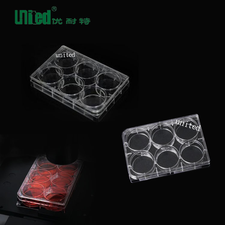 厂家供应 供应6孔平底连盖培养板 细胞培养板