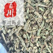 ���� �x�b ���| ��Ʒ 15��o�l���˓Q