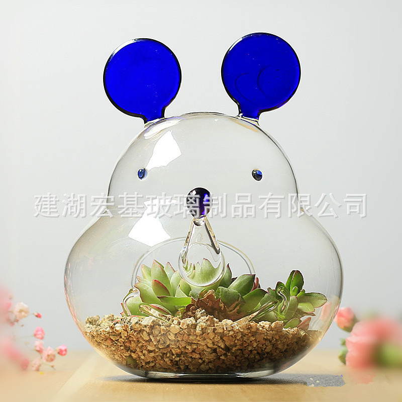 Floral organ Succulent plants The flowers Botany Glass Simplicity personality originality Flower pot Gardening Containers wholesale