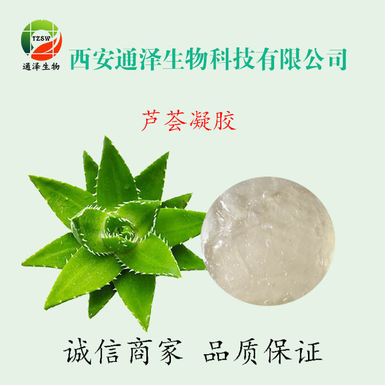 现货供应 芦荟凝胶 芦荟提取 芦荟凝胶 化妆品原料 量大优惠