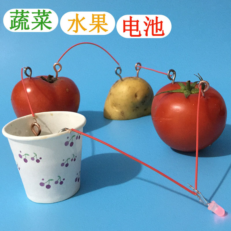 Children's Science Experiment Materials Vegetable Cola Fruit Battery Technology Small Production Small Invention DIY Set New Product