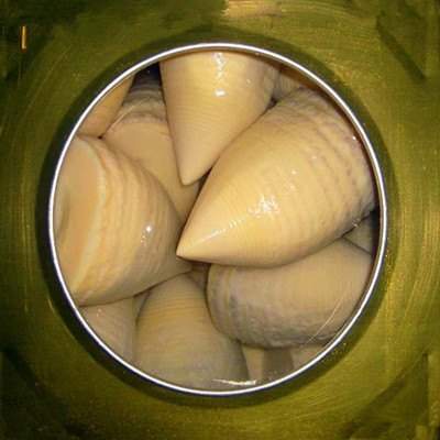 舌尖上的天目山黃泥拱高山毛筍 罐頭筍 中號 個頭20-30個 18