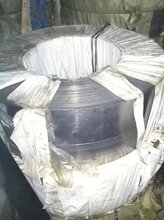 1.7102����䓎�  �M��1.7102����䓰� 1.7102����䓾� �����Ƭ