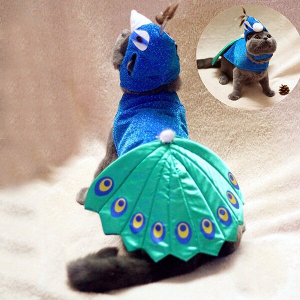 Ji Zaizai's new explosion hot -selling pet supplies Market Blue…