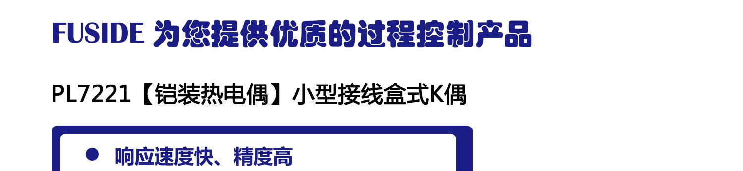 K型鎧裝熱電偶-7221_02