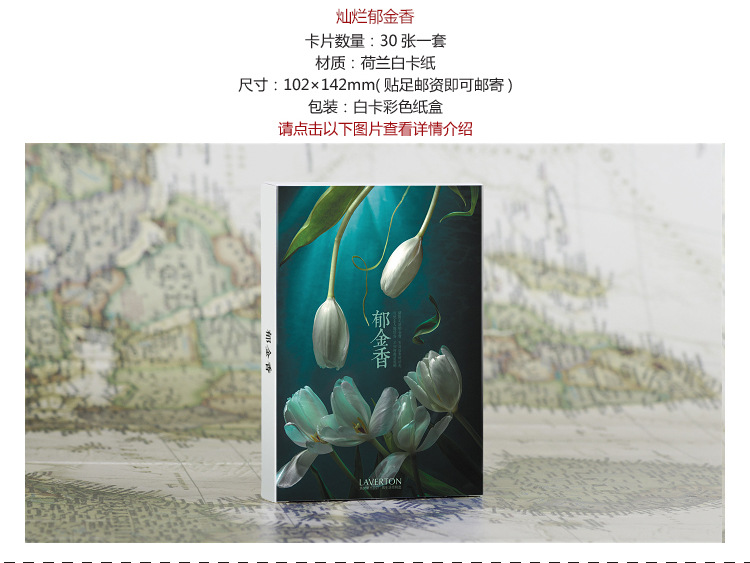 批发明信片目录图-郁金香