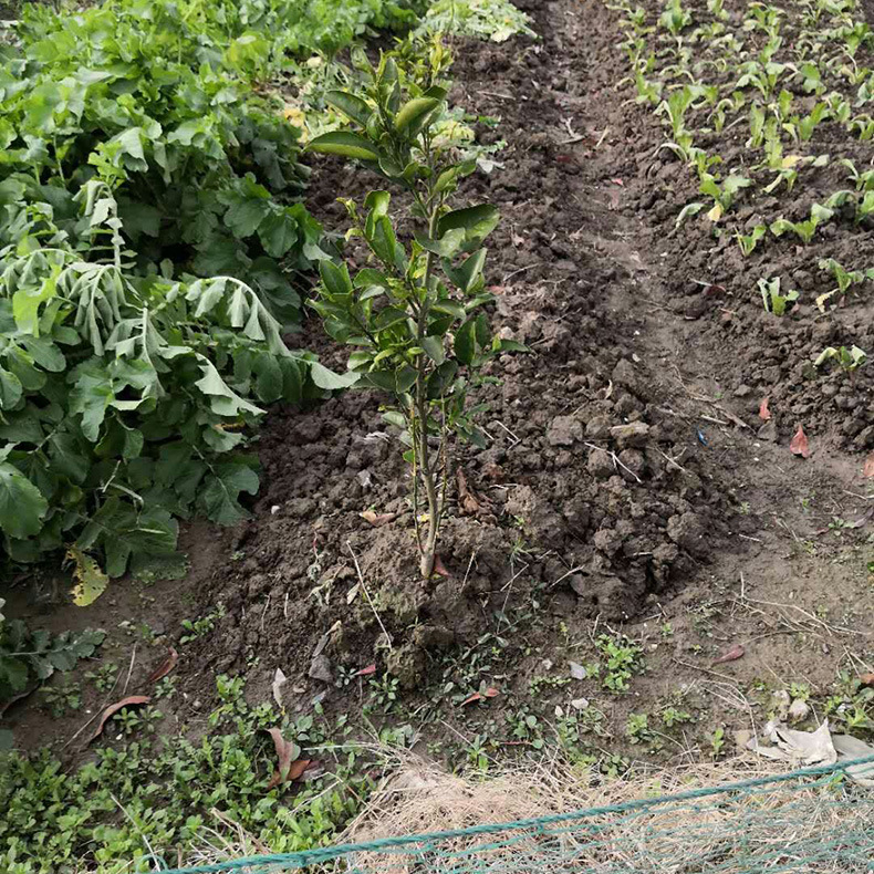 mmexport1511079054773