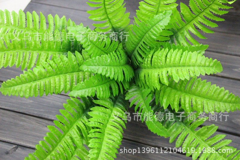 新品上市18叶波斯草植物墙配材大排草仿真蕨草绿景装饰波斯蕨批发-阿里巴巴